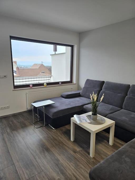 Gemuetliche Ferienwohnung Mülheim-Kärlich 外观 照片